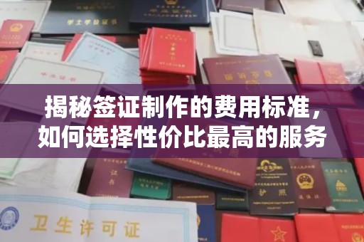 单县揭秘签证制作的费用标准，如何选择性价比最高的服务？